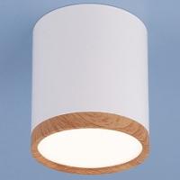 Накладной светильник Elektrostandard Dlr024 a040548 фото Накладной светильник Elektrostandard Dlr024 a040548