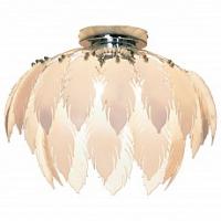 Накладной светильник Lussole Vercelli GRLSQ-1907-05 фото Накладной светильник Lussole Vercelli GRLSQ-1907-05. Фото №1