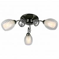 Потолочная люстра Omnilux Anjou OML-31607-03. Фото №1