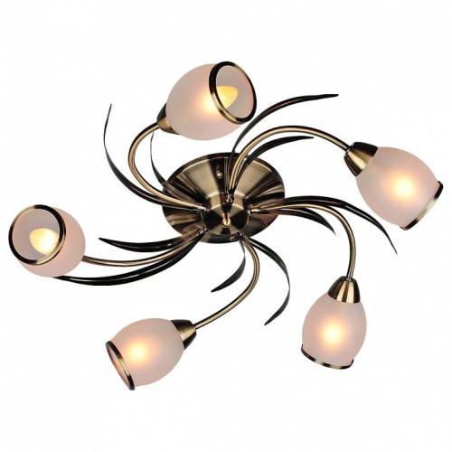 Потолочная люстра Omnilux Auxois OML-35827-05. Фото №1