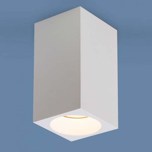 Накладной светильник Elektrostandard 1085 a040989. Фото №1