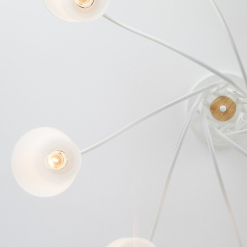 Потолочная люстра Eurosvet Betty 70062/8 белый. Фото №1