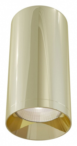 Накладной светильник Maytoni Focus C010CL-01G. Фото №1