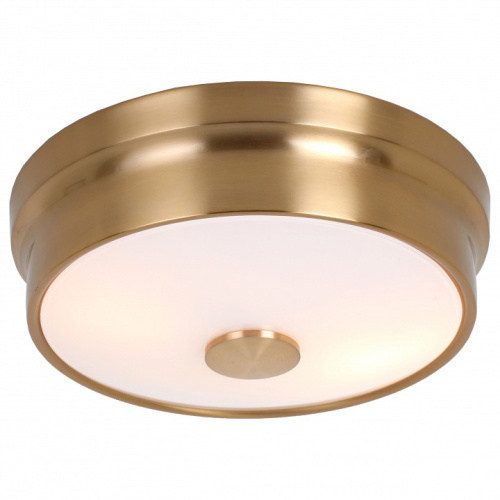 Накладной светильник Favourite Pannikin 2375-2C. Фото №1