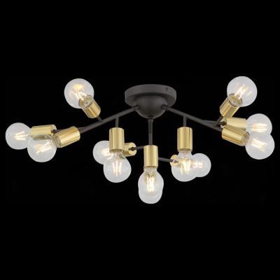 Потолочная люстра ST-Luce Foglione SL437.402.12. Фото