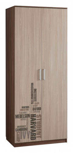 Колледж Шкаф 2-створчатый  Ясень шимо т. /Крем. Фото №1