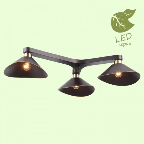 Потолочная люстра Lussole Opelika GRLSP-9534 фото Потолочная люстра Lussole Opelika GRLSP-9534. Фото №2