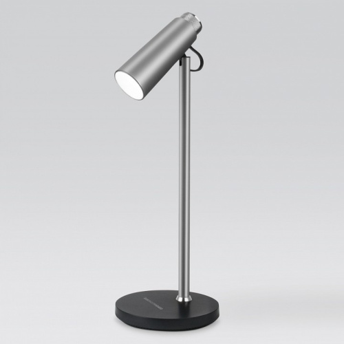 Настольная лампа офисная Elektrostandard Joel a048901. Фото №1