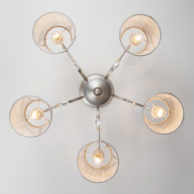 Потолочная люстра Eurosvet Liona 60065/5 серебро фото Потолочная люстра Eurosvet Liona 60065/5 серебро. Фото №2