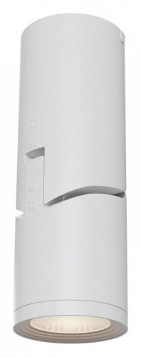 Накладной светильник Maytoni Tube C019CW-01W. Фото №1